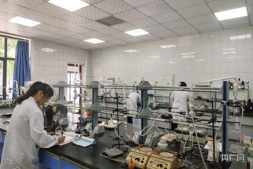 種釀游創(chuàng)新鏈 綻放絲路醇香新魅力